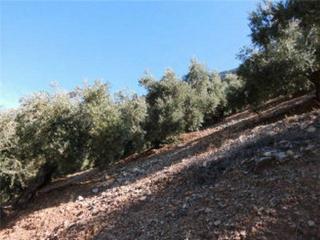 Rural plot  N/a. Sorihuela de guadalimar (jaén). finca rústica