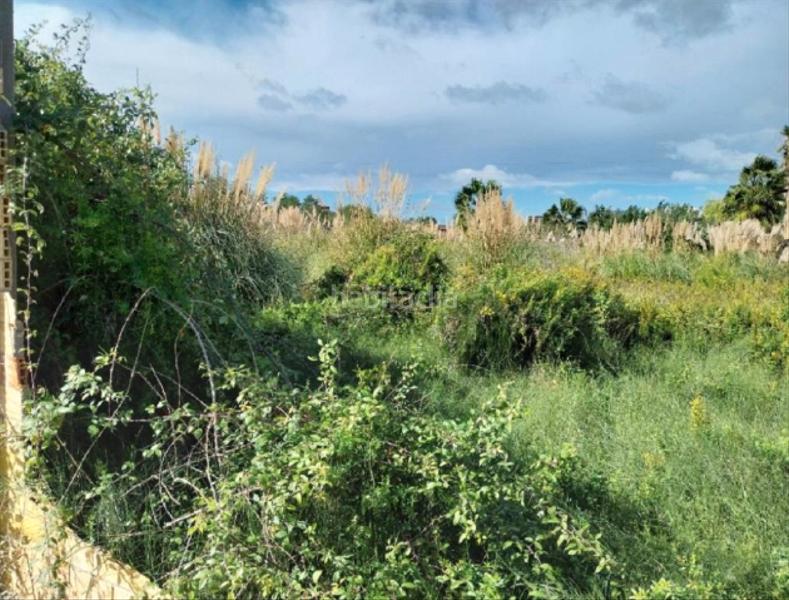 Foto 533ee5ef-9717-4bdb-aba4-ce272196dff4. Propriété dans Sueca Sueca