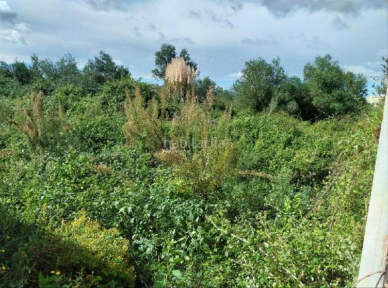 Foto c1578828-bb3b-4873-bb9b-53375add4214. Propriété dans Sueca Sueca