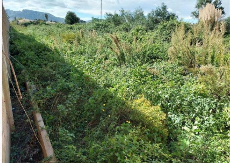 Foto c8a3a6d4-4e90-49ee-9a0e-96592456a239. Propriété dans Sueca Sueca