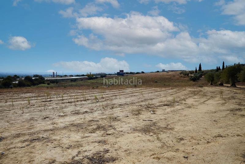 Foto 05f00d6d-3be7-4f81-84c8-880f807c8e7b. Finca rústica a Bailén