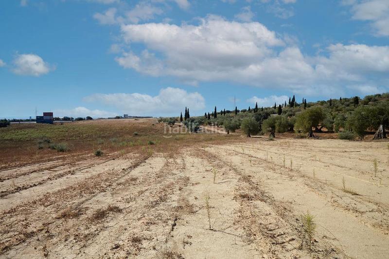 Foto 0a15724a-1174-48c3-8369-9747f6fe8c86. Finca rústica a Bailén