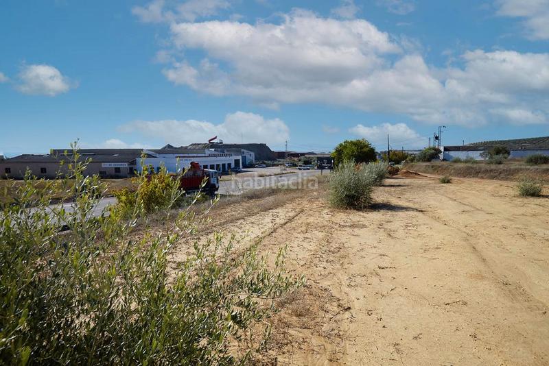 Foto 1bd856ea-5a91-4cc6-9d49-a85c5fd7533f. Finca rústica a Bailén