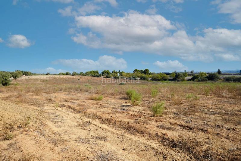 Foto 4a871a7e-f9db-4b22-ad00-1c073c4660c9. Finca rústica a Bailén