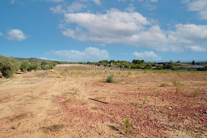 Foto 548cb504-bd4e-4fd1-8aff-038a79bbb730. Finca rústica a Bailén