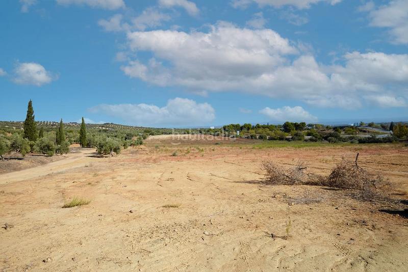 Foto 5c9c5fc4-ee3a-40c3-ba8b-5dfc8c608b27. Finca rústica a Bailén