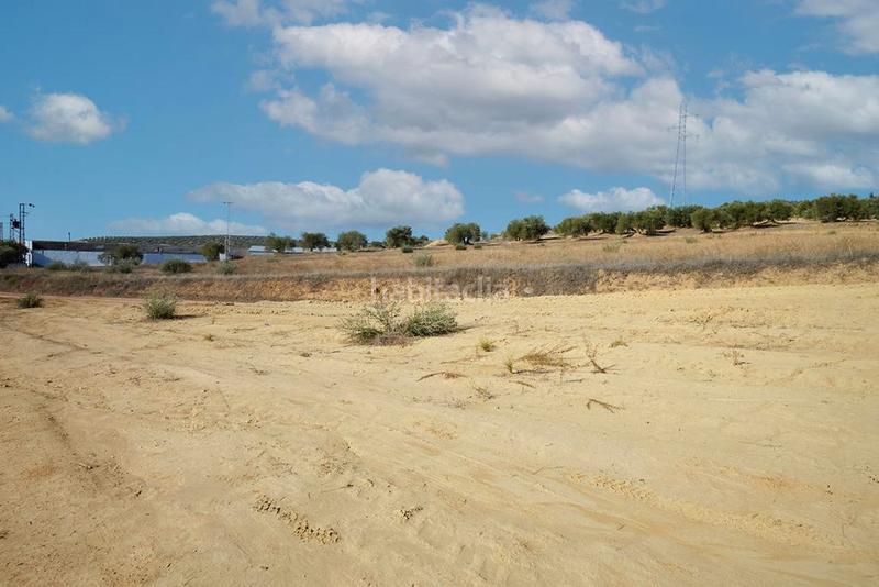 Foto 66a66f0e-def2-4552-98ed-588f26f60242. Finca rústica a Bailén