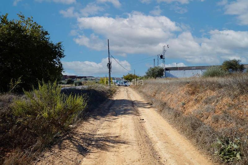 Foto 72250dd0-fe36-485b-9647-ee71675c831e. Finca rústica a Bailén