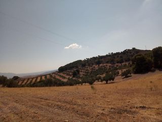 Landgut in Quesada. Quesada (jaén). paraje "cortijo la hurraca"