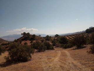 Propriété à Quesada. Quesada (jaén). paraje "cortijo la hurraca"