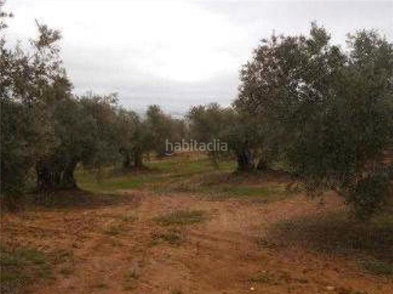 Foto 4388083c-4f5d-41d5-a986-658929c60340. Finca rústica a Bailén