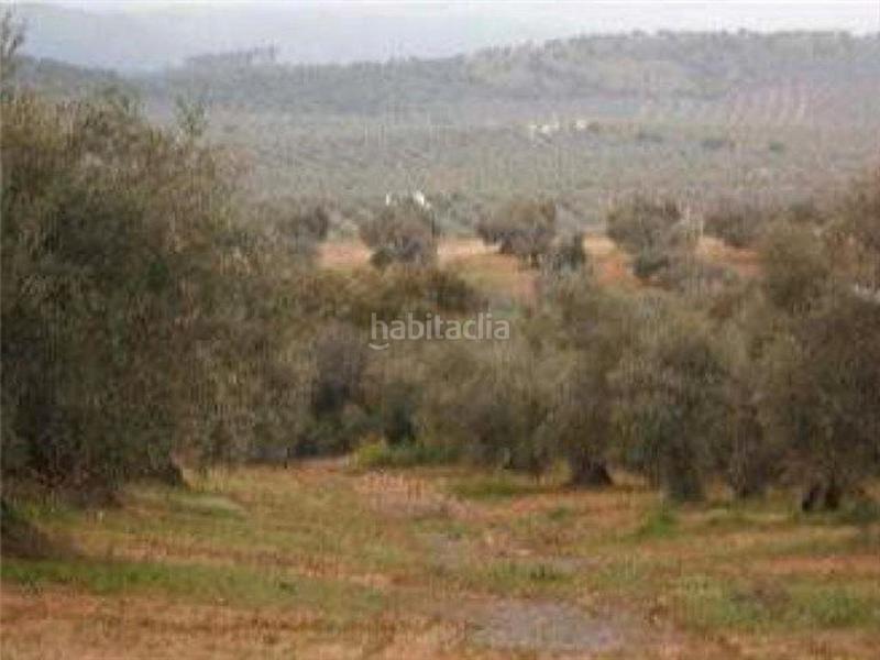 Foto e08c39b4-32ec-4dd1-9183-80f9de02a51d. Finca rústica a Bailén