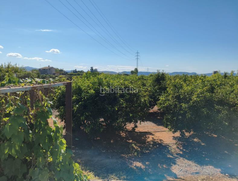 Foto 81f34daa-ec61-4115-b78a-6d5dec5ff4c4. Finca rústica a Rafelguaraf