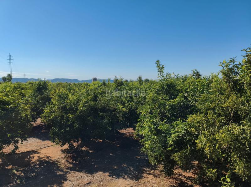 Foto bc716eab-e024-48ad-a1a4-ab35efd72c92. Finca rústica a Rafelguaraf