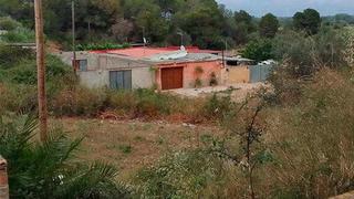 Finca rústica  Partida tosses. Amposta (tarragona). "okupado" (no se puede visitar ni hipotecar