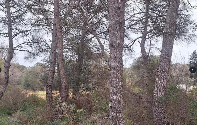 Foto 3346dff3-7663-4919-82dd-92d2c7e1724b. Terreno residenziale in Portichol-Balcón al Mar Xàbia