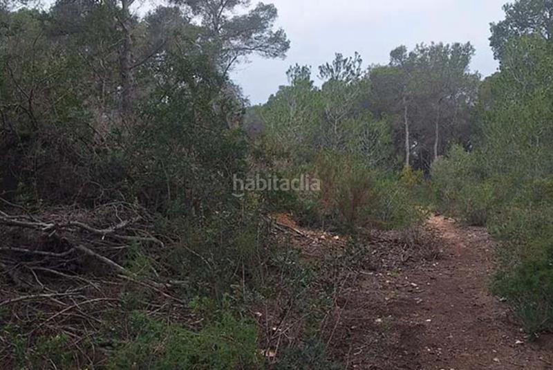 Foto 562f3b7a-b93b-4444-8446-b90d77cbcc83. Terreno residenziale in Portichol-Balcón al Mar Xàbia