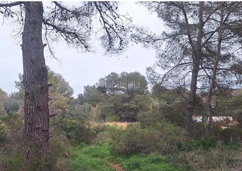 Foto e6cb10a8-bedb-4ad3-8489-15920aafabef. Terreno residenziale in Portichol-Balcón al Mar Xàbia