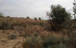 Terreny residencial  Carrer camí de les valletes 6. Procedente de banco