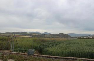 Finca rústica  N/a. Pinos puente (granada). "okupado" (no se puede visitar ni hipote