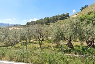 Fondo rustico  Plaza vista alegre. Guardia de jaén, la (jaén). "okupado" (no se puede visitar ni hi