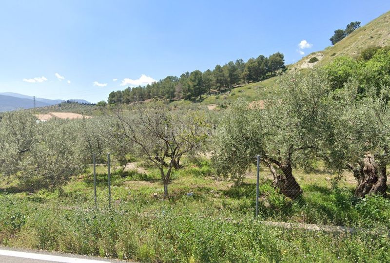 Foto e22d34c2-e56d-4b33-83b6-eadbc54a8c71. Finca rústica a Guardia de Jaén (La)