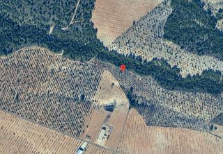 Finca rústica  N/a. Lorca (murcia ). sin posesión “ocupado” (no se puede visitar ni