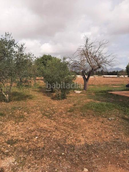 Foto 5d491f56-1db2-4e8b-aad2-d253c21dc1b3. Xalet amb piscina a Gran Via de Colom Inca