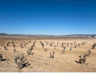 Fondo rustico  Calle fray elias requena 3. Activo bancario