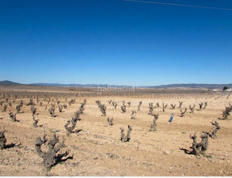 Foto 966f47e9-3dc7-43d0-9ab6-dd6923d22678. Fondo rustico in calle fray elias requena 3 in Caudete