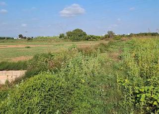 Finca rústica a Silla. Activo bancario