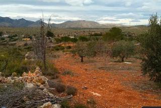 Finca rústica en Catadau