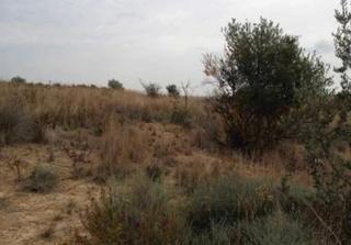 Propriété à Montroy