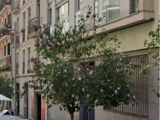 Dúplex  Carrer nou de la rambla. Barcelona (barcelona). sin posesión “ocupado” (no se puede visit