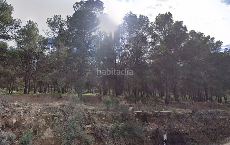 Foto 64d98e40-d5b0-4180-9960-71cee4013e75. Finca rústica a Armuña de Almanzora