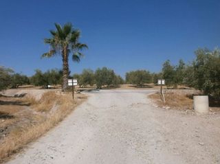 Finca rústica a Baena