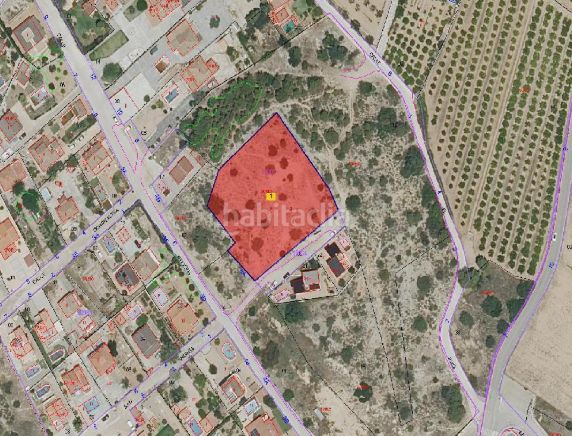 Foto 42367e86-0dde-4b4d-b6c1-1cdebd9cf2df. Finca rústica a Pla dels Aljubs Pobla de Vallbona (la)