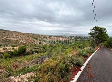 Foto 1bb1525b-ac94-4528-811c-74759c604362. Finca rústica a Carlet