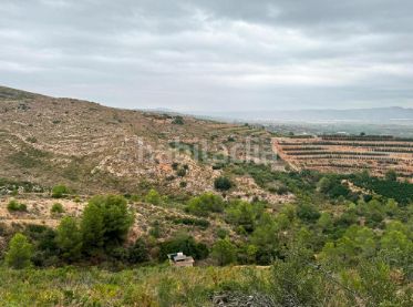 Foto 1ed2f82a-15c3-41d8-82eb-a3245887a6a5. Finca rústica a Carlet