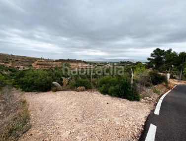 Foto 4cd0c03e-b146-4db0-9ae0-087d6851b8c4. Finca rústica a Carlet