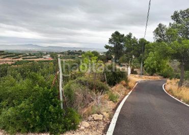 Foto 8dabb86a-7571-49de-a900-ba9bd4f87a0e. Finca rústica a Carlet