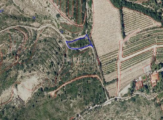 Foto b3dcbab5-3584-4dbc-b72e-12dda20309fd. Finca rústica a Carlet