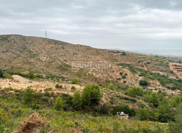 Foto b5c51c19-c380-4b4d-bb77-050d82e83ae4. Finca rústica a Carlet