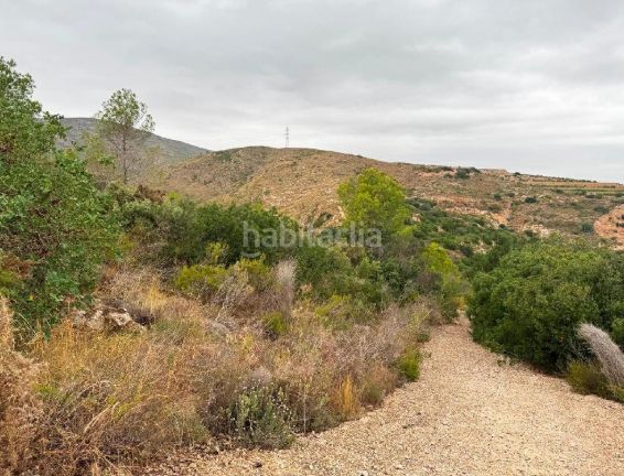 Foto cbcb3011-0cdf-42fd-88f7-30d37c712530. Finca rústica a Carlet