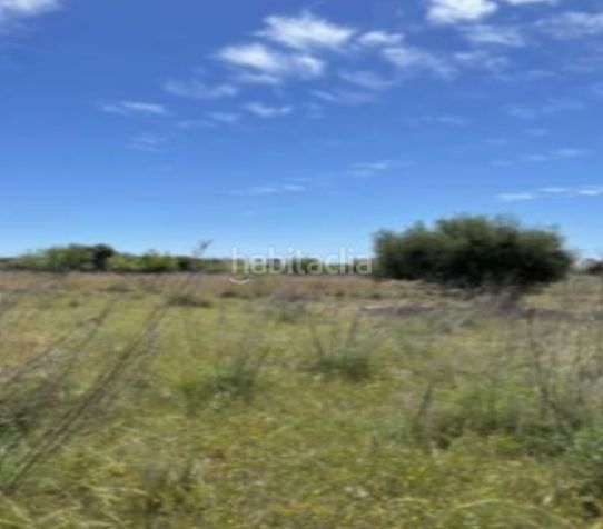 Foto 32974a6e-7dfa-43a3-b21c-1df8e08537b0. Finca rústica a Pueblo Benicasim / Benicàssim