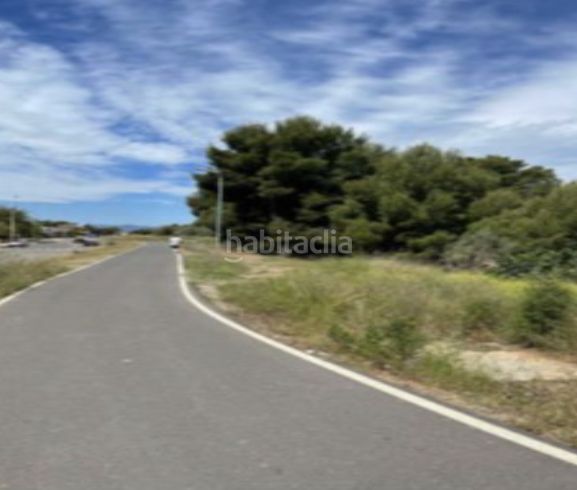 Foto 9b61f913-47ee-4013-b2a6-a49b935c51c3. Finca rústica a Pueblo Benicasim / Benicàssim