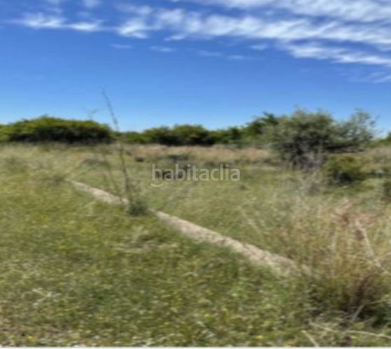 Foto b2973c92-4769-4586-9f00-07cd5815ac44. Finca rústica a Pueblo Benicasim / Benicàssim