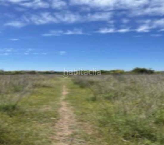 Foto bd44dd49-4846-45eb-8e09-21fe2ae96d3c. Finca rústica a Pueblo Benicasim / Benicàssim