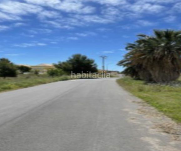 Foto d10862a1-d64f-42bd-bb5c-f398db875aa0. Finca rústica a Pueblo Benicasim / Benicàssim