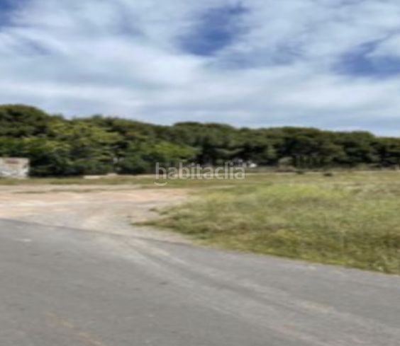 Foto fe42c3e8-44af-403e-a2e5-9dba6552d1d0. Finca rústica a Pueblo Benicasim / Benicàssim